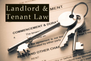 landlord-and-tenant-law